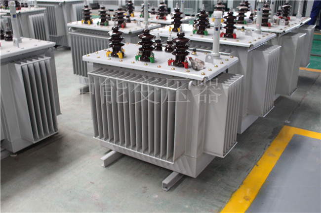 文昌S22-250KVA/10KV变压器